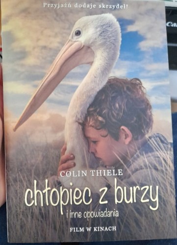 chłopiec_n_1.jpg