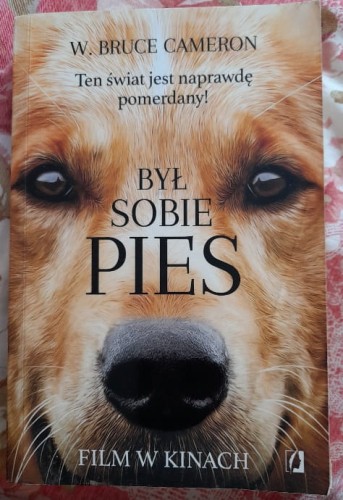 Pies_u_1.jpg